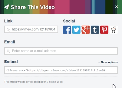 The Vimeo video sharing options.