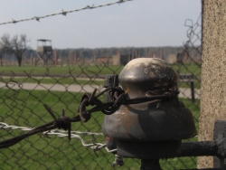 Barbed wire and ceramic electrodes